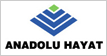  Anadolu Hayat 